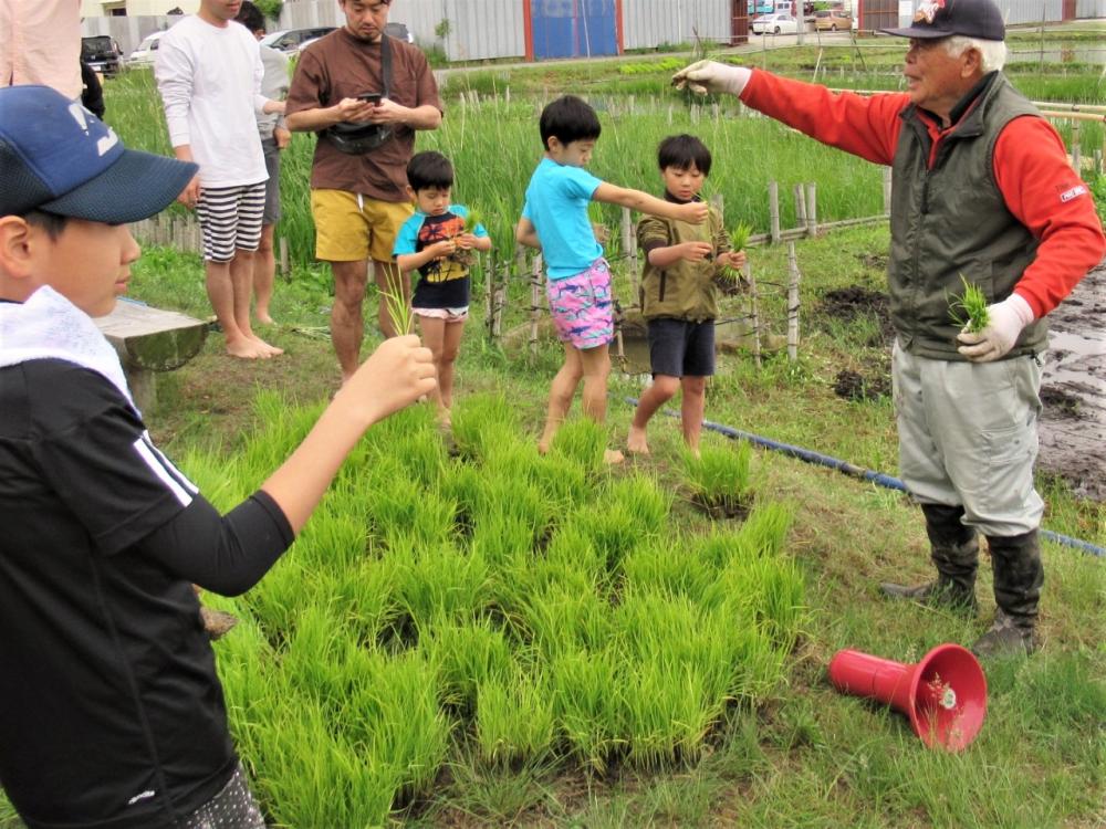 田植えのてほどき