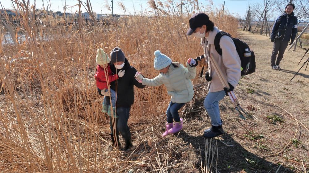 急斜面を降りてヨシ原へ