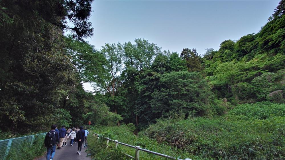 沢に接近