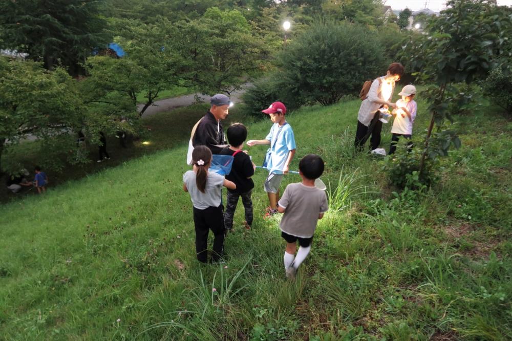 高森 観察2