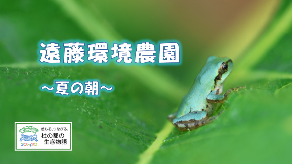 Ẳ_@Tl