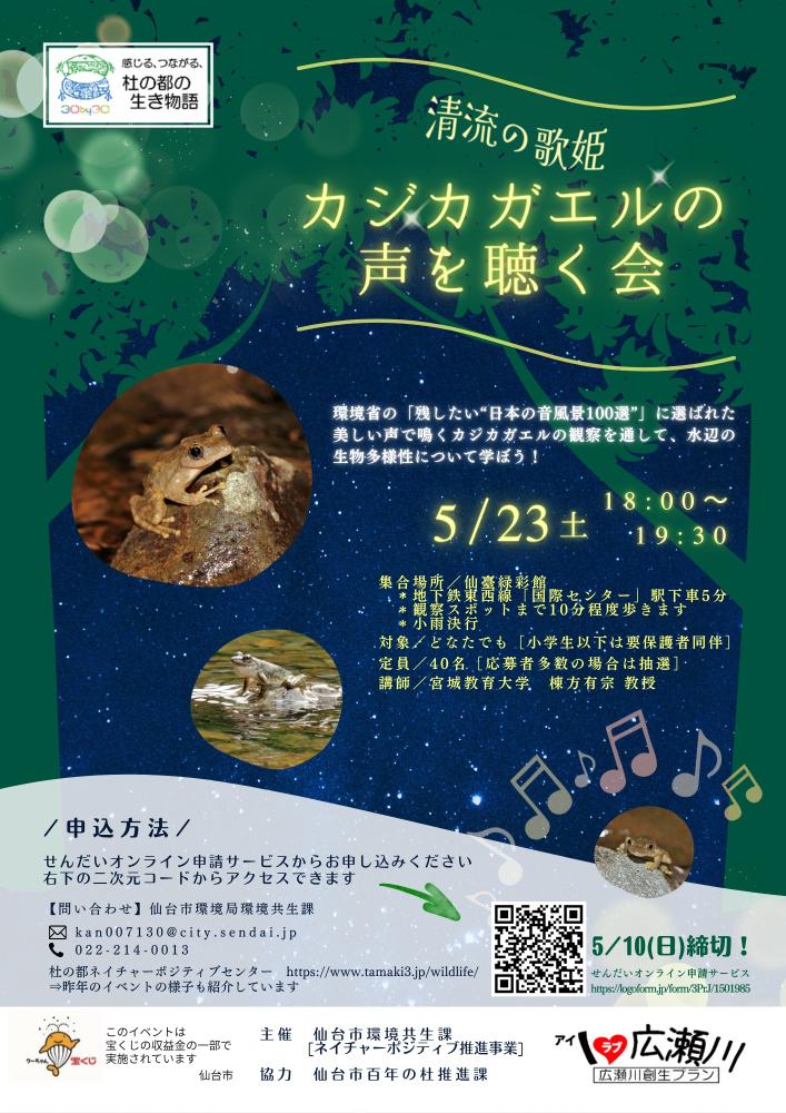 R8�J�W�J�K�G���̐��𒮂���`���V�摜