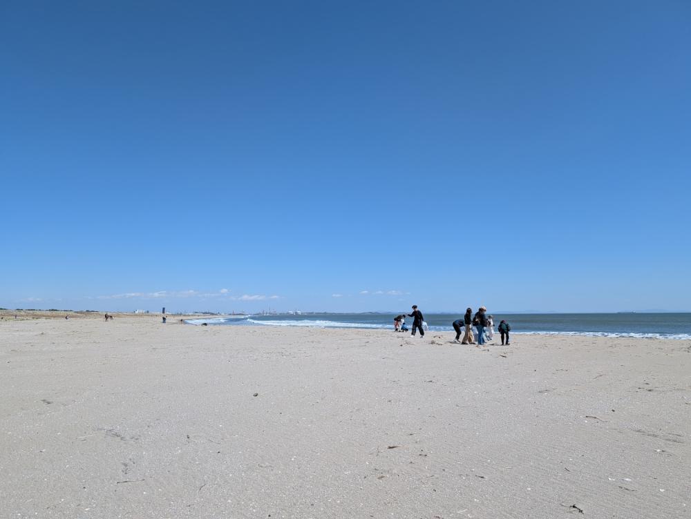 �[���r�[�`�N���[���̗l�q 